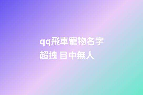 qq飛車寵物名字超拽 目中無人